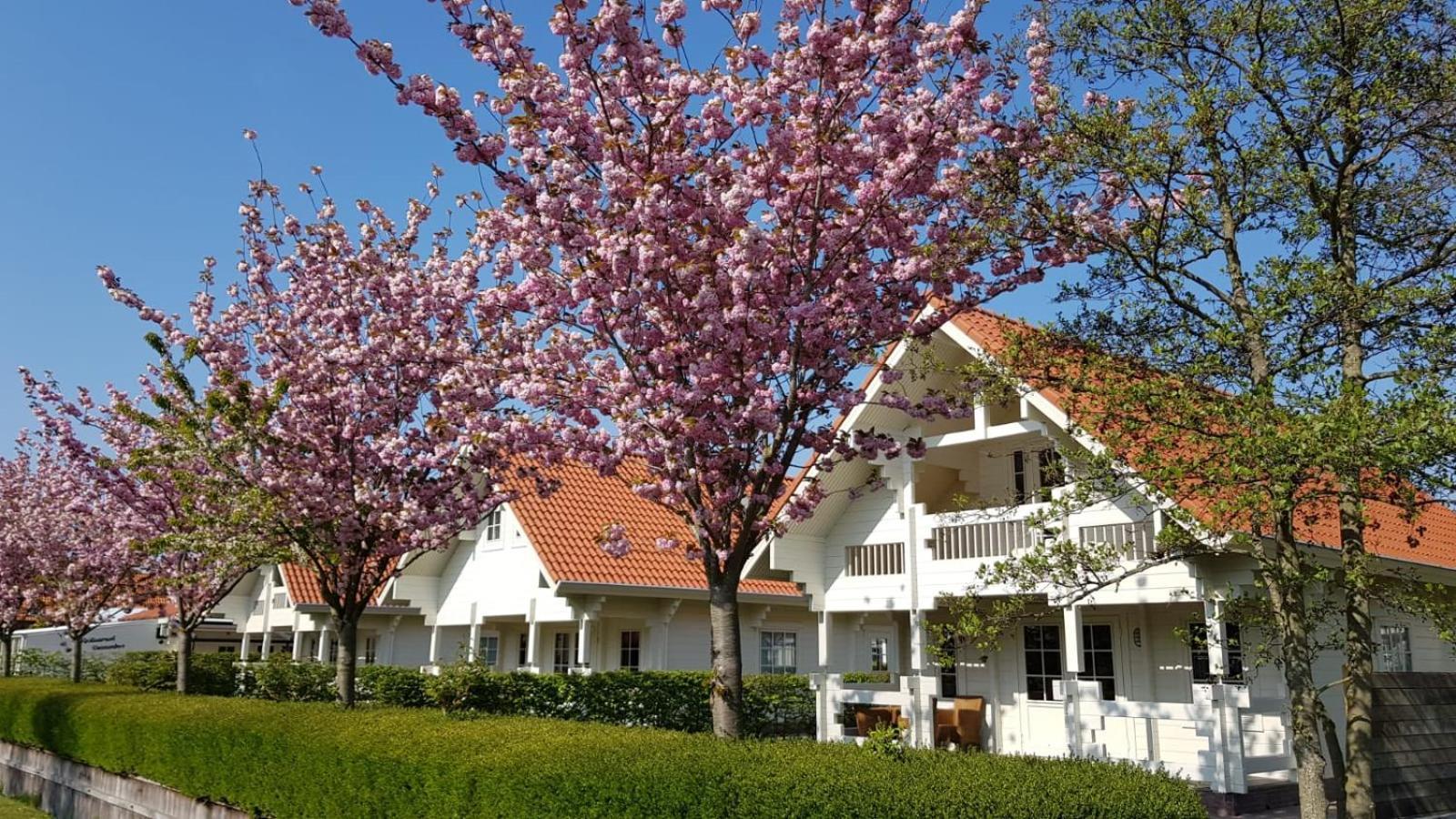 Holiday Park Dennenbos Oostkapelle Kültér fotó