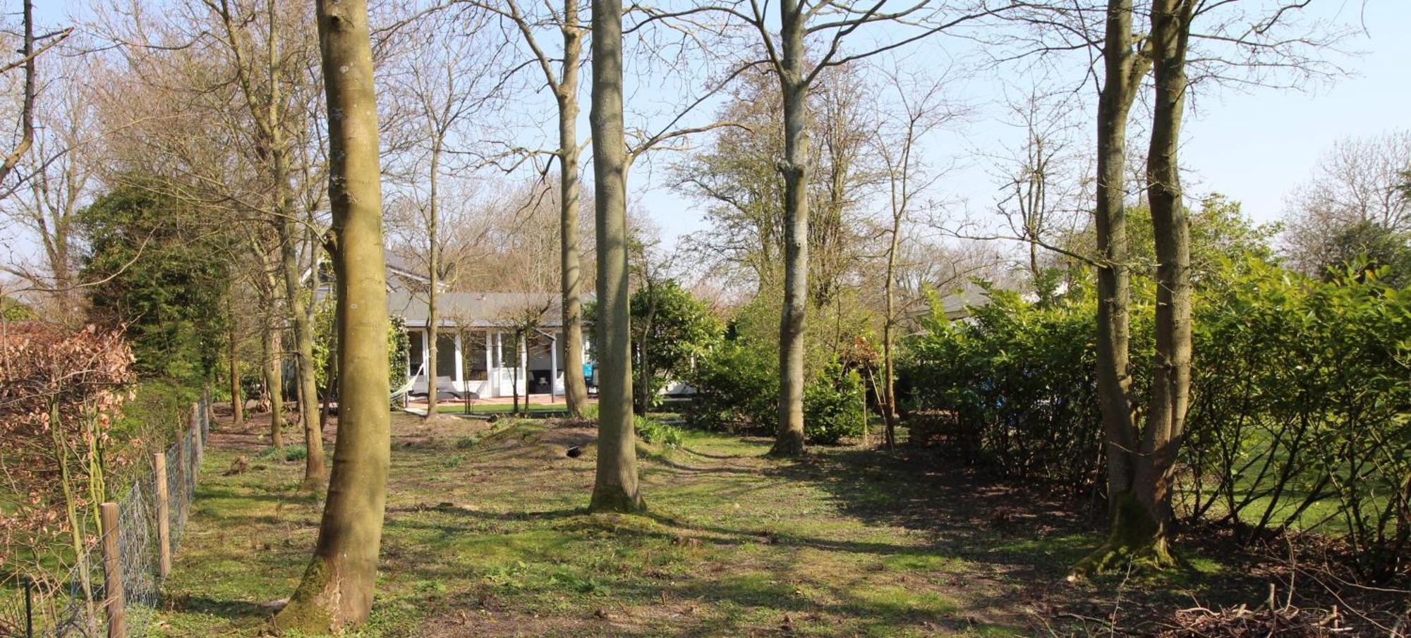 Holiday Park Dennenbos Oostkapelle Kültér fotó