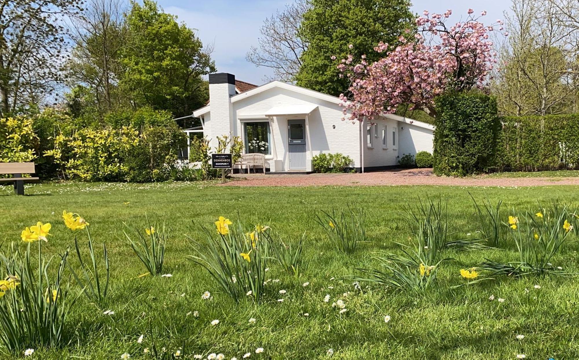 Holiday Park Dennenbos Oostkapelle Kültér fotó