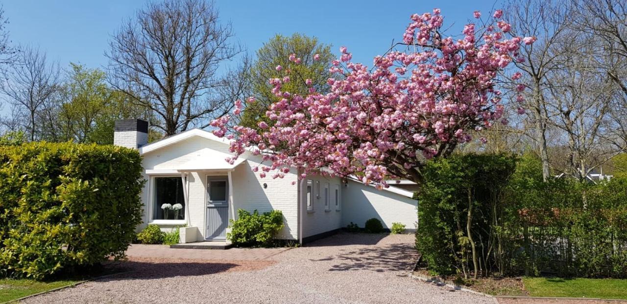 Holiday Park Dennenbos Oostkapelle Kültér fotó